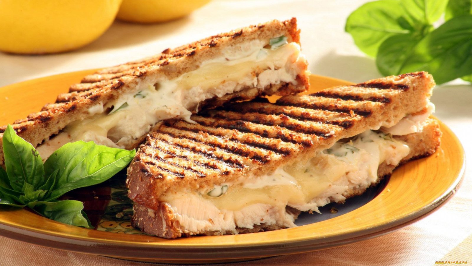 BOL KAŞARLI TOST